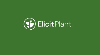 Elicit Plant